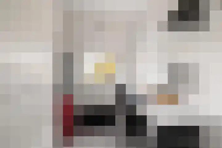 Chasséstraat 1 H Amsterdam thumbnail 26