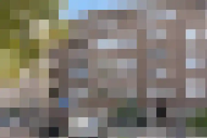 Chasséstraat 1 H Amsterdam thumbnail 28