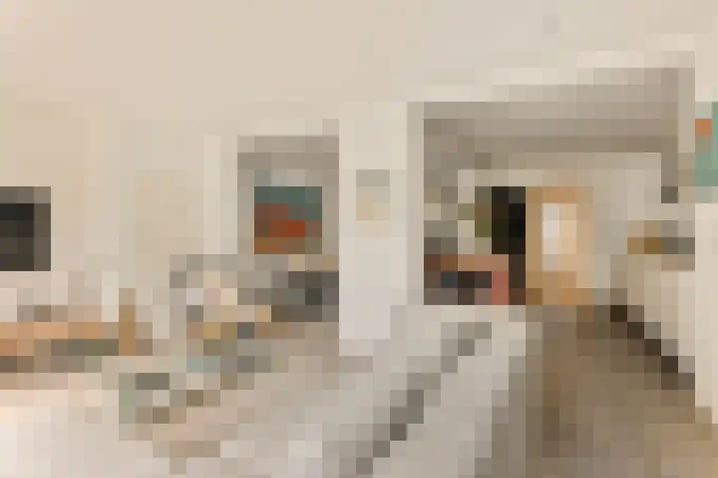 Chasséstraat 15 H Amsterdam thumbnail 5