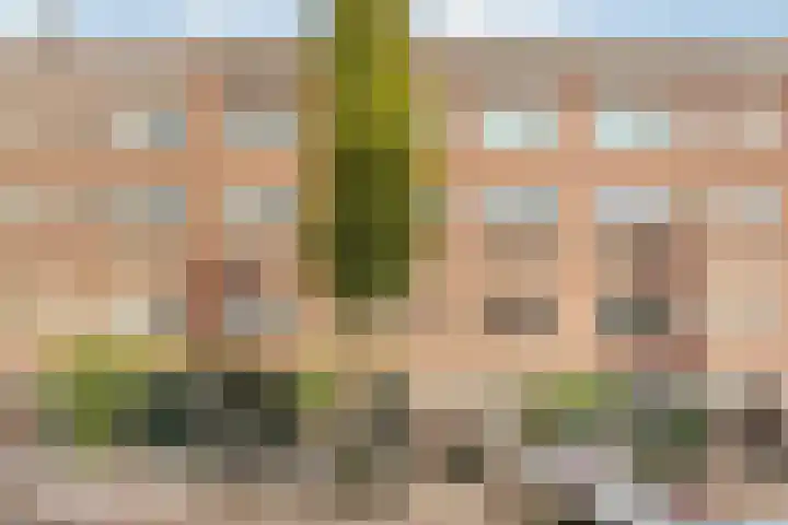 Chasséstraat 18 H Amsterdam thumbnail 23