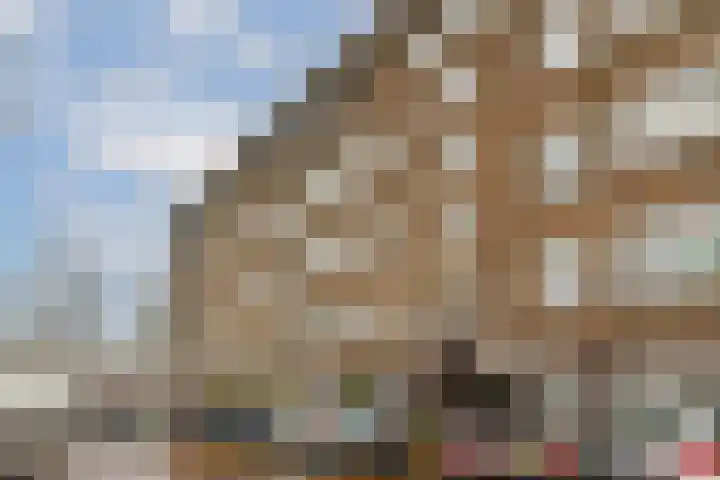Chasséstraat 5 3 Amsterdam thumbnail 7