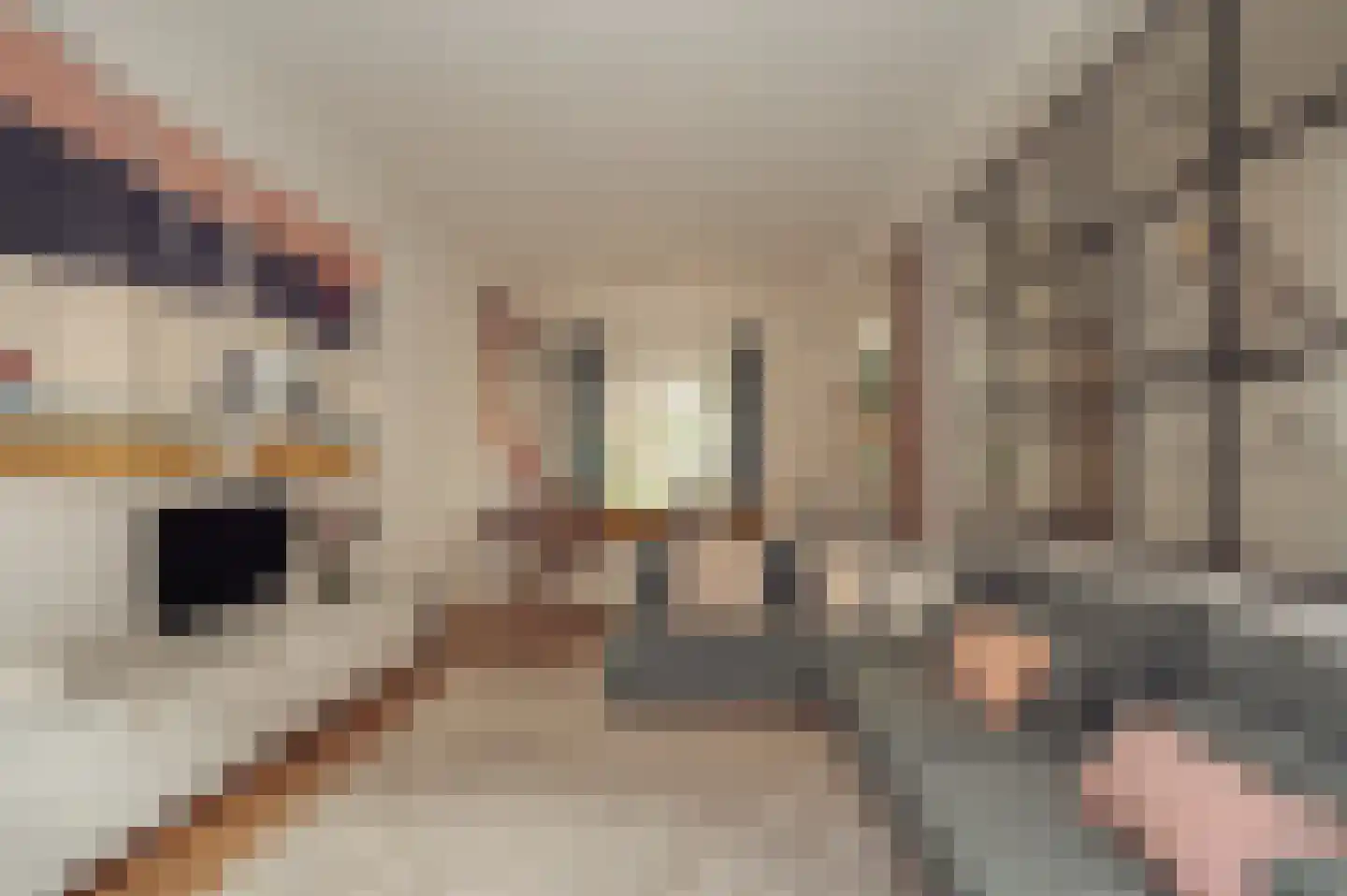 Chasséstraat 54 H Amsterdam thumbnail 15