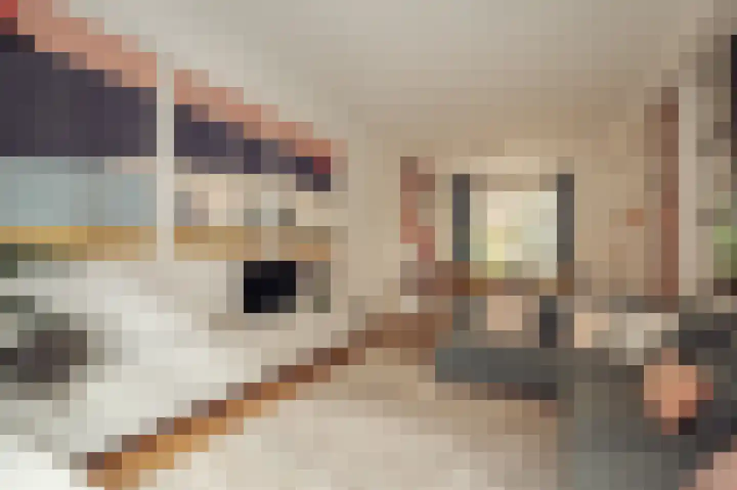 Chasséstraat 54 H Amsterdam thumbnail 16