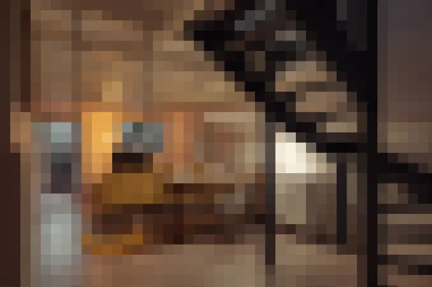 Chasséstraat 54 H Amsterdam thumbnail 47