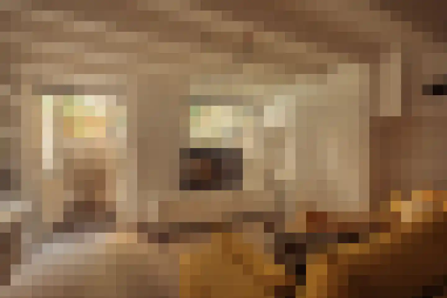 Chasséstraat 54 H Amsterdam thumbnail 49