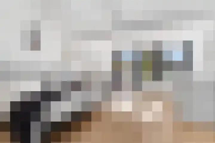 Chasséstraat 6 Den Haag thumbnail 4
