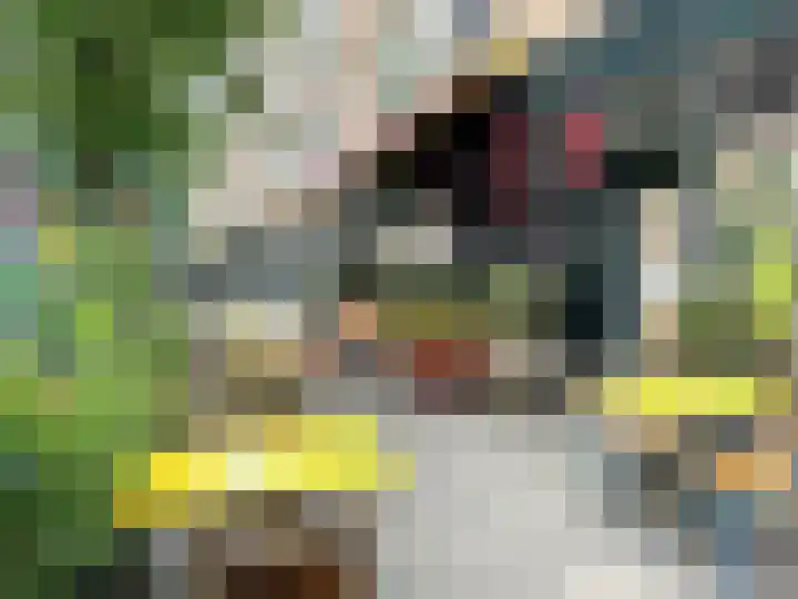 Chasséstraat 92 2 Amsterdam thumbnail 38