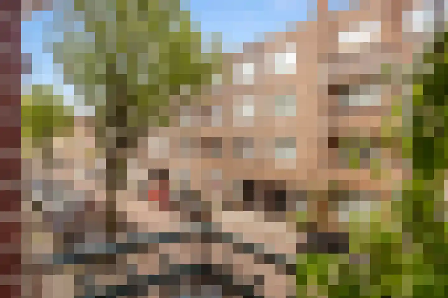 Chasséstraat 94 2 Amsterdam thumbnail 17