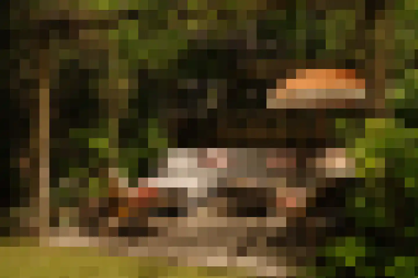 Chasséstraat 94 2 Amsterdam thumbnail 20