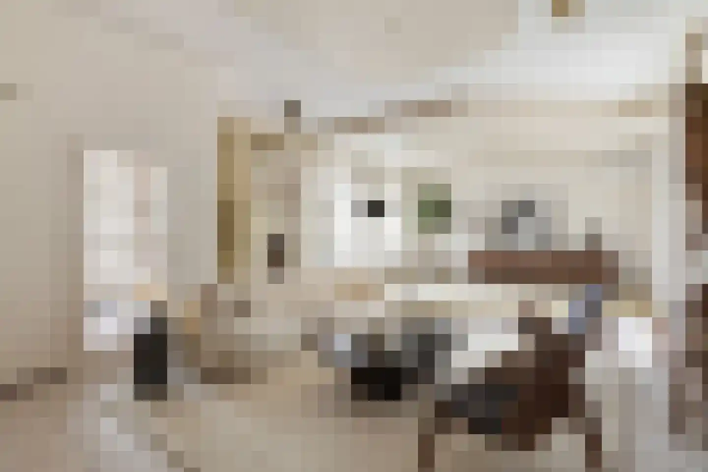 Châteaurouxhof 1 Eindhoven thumbnail 14