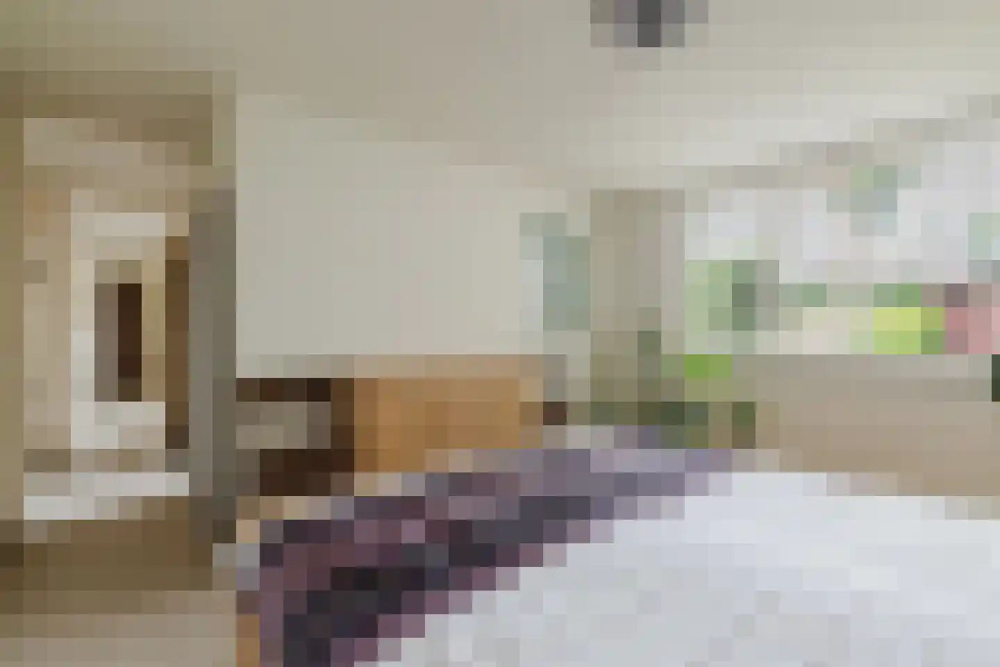 Châteaurouxhof 1 Eindhoven thumbnail 33