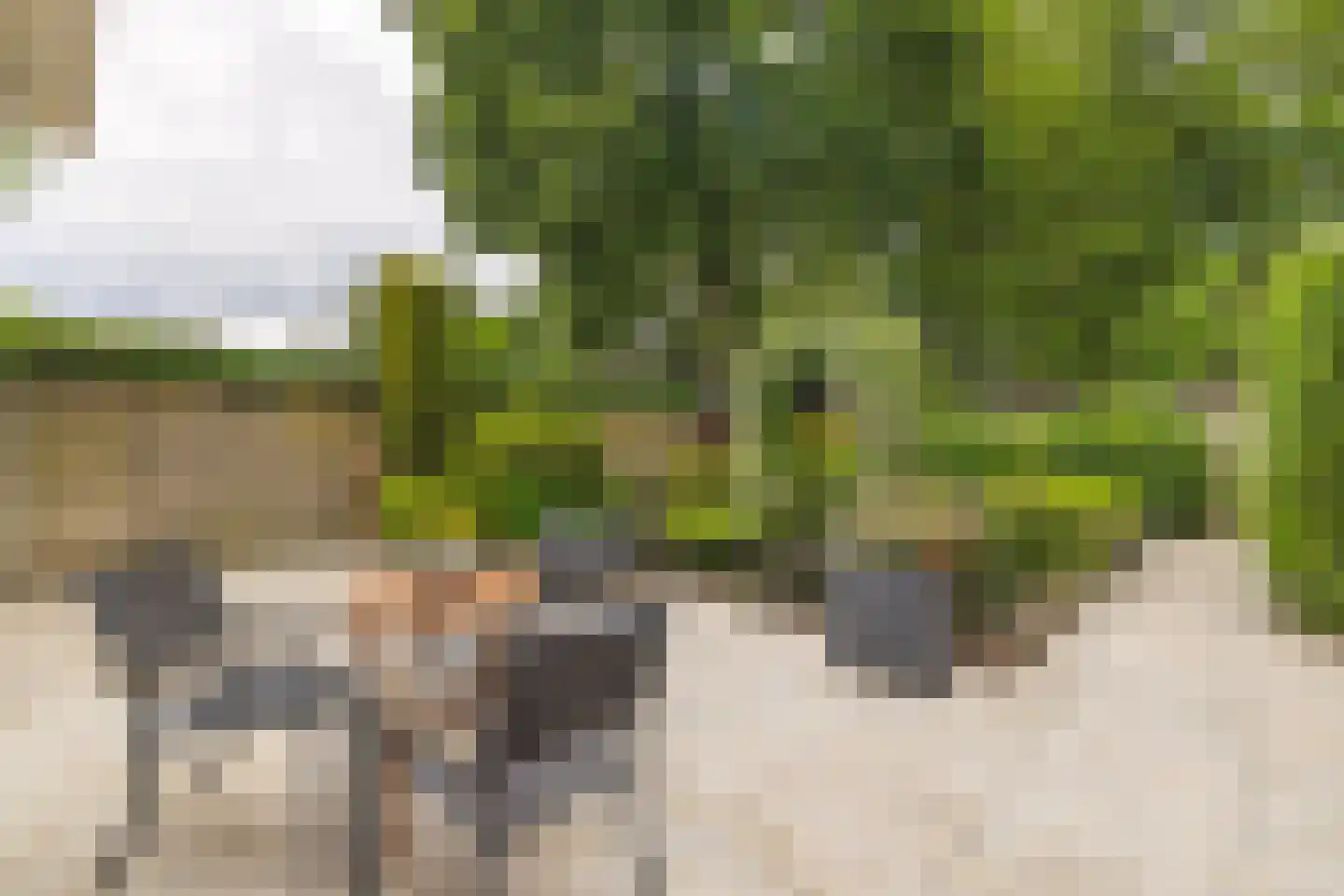 Châteaurouxhof 1 Eindhoven thumbnail 4