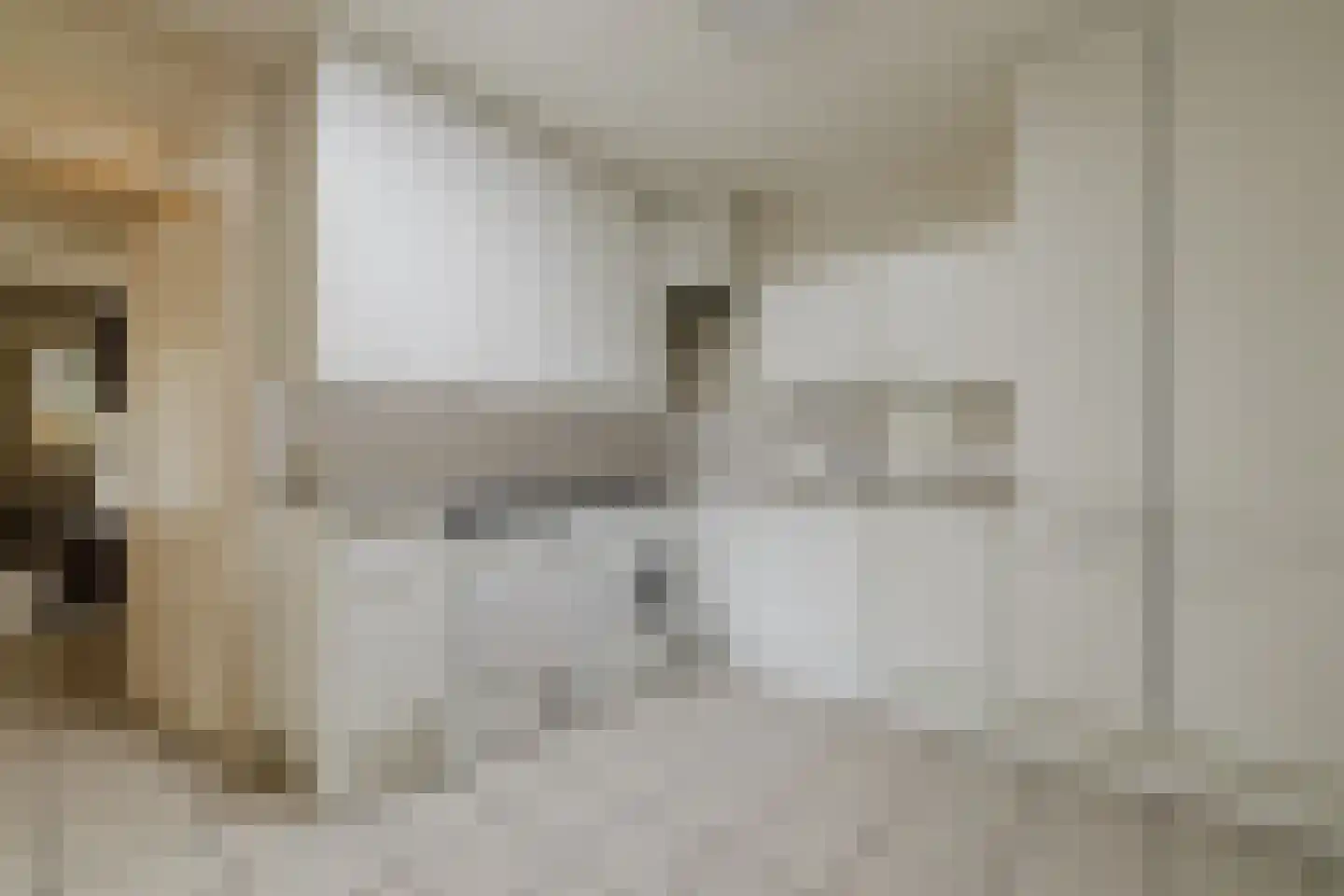 Châteaurouxhof 1 Eindhoven thumbnail 40