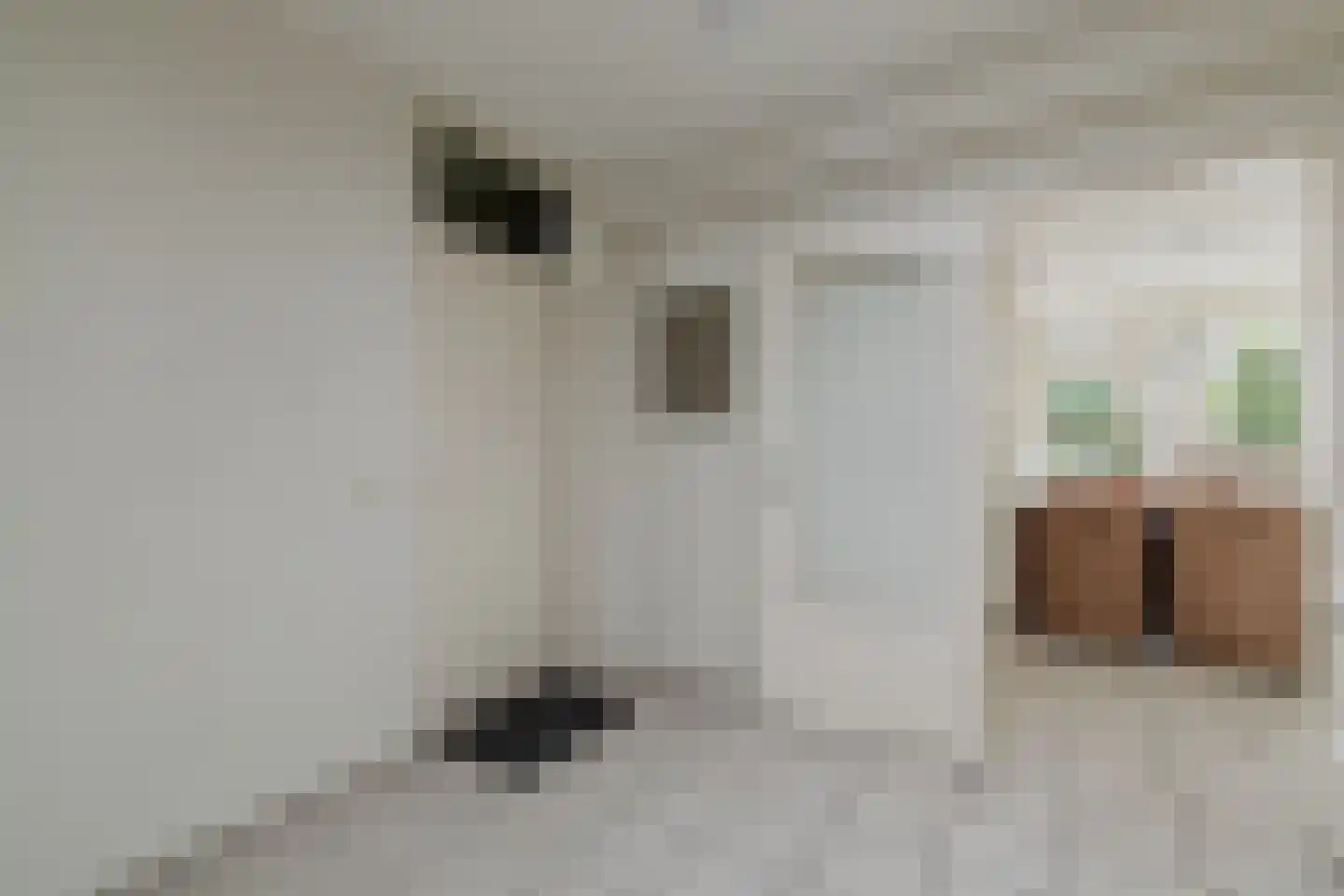 Châteaurouxhof 1 Eindhoven thumbnail 42