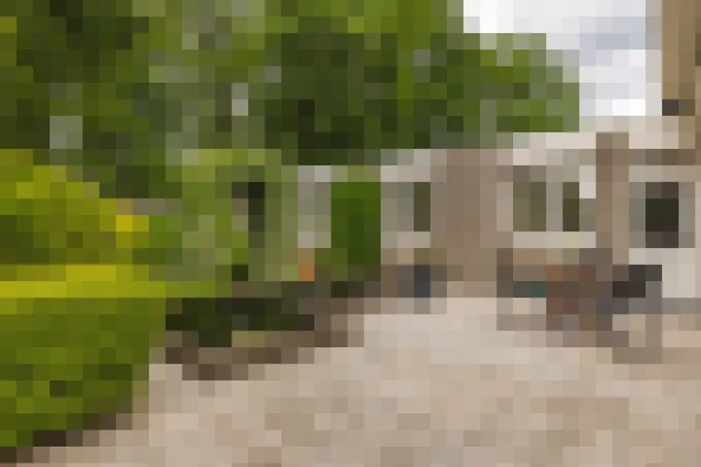 Châteaurouxhof 1 Eindhoven thumbnail 45