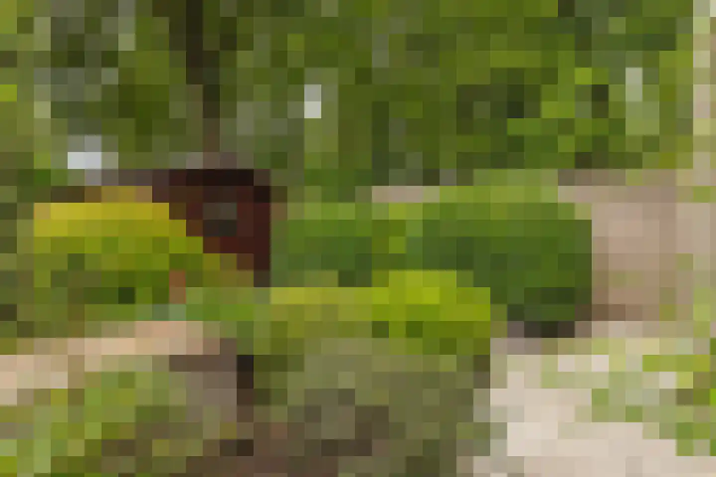 Châteaurouxhof 1 Eindhoven thumbnail 47