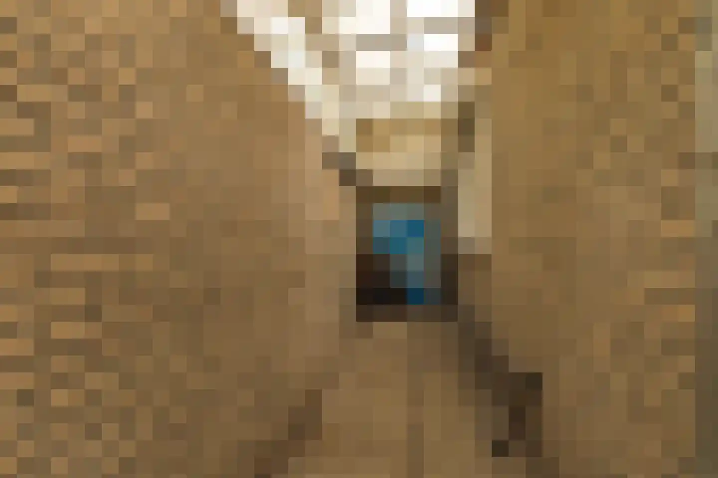 Châteaurouxhof 1 Eindhoven thumbnail 52