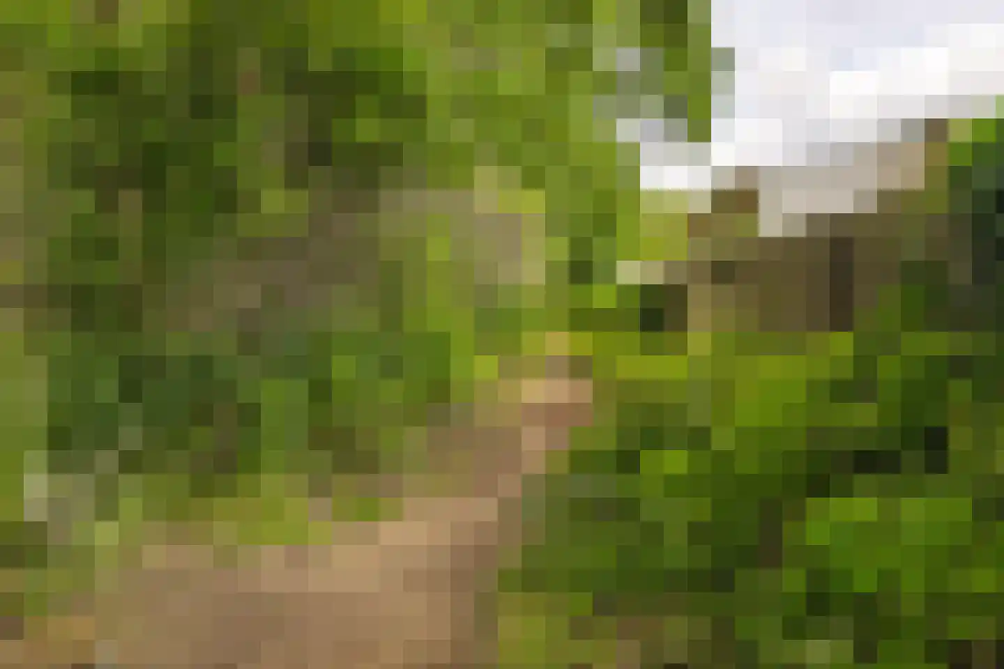 Châteaurouxhof 1 Eindhoven thumbnail 54