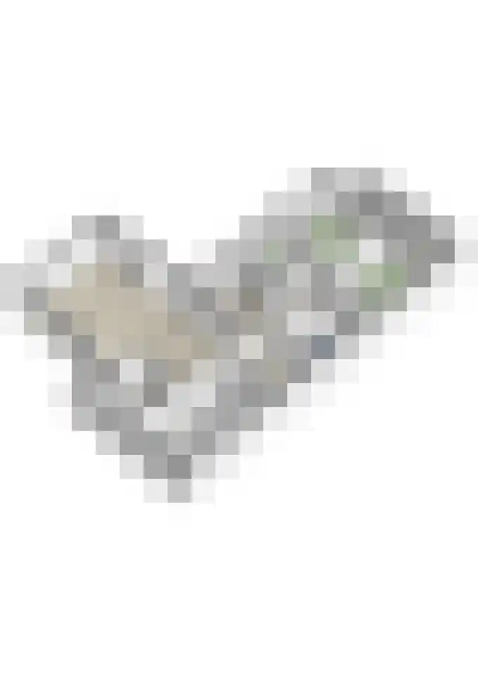 Châteaurouxhof 1 Eindhoven thumbnail 56