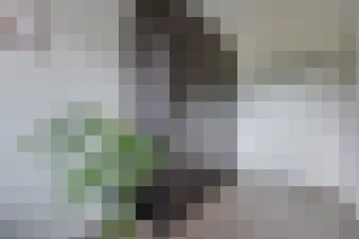 Chatelainestraat 32 Almere thumbnail 23