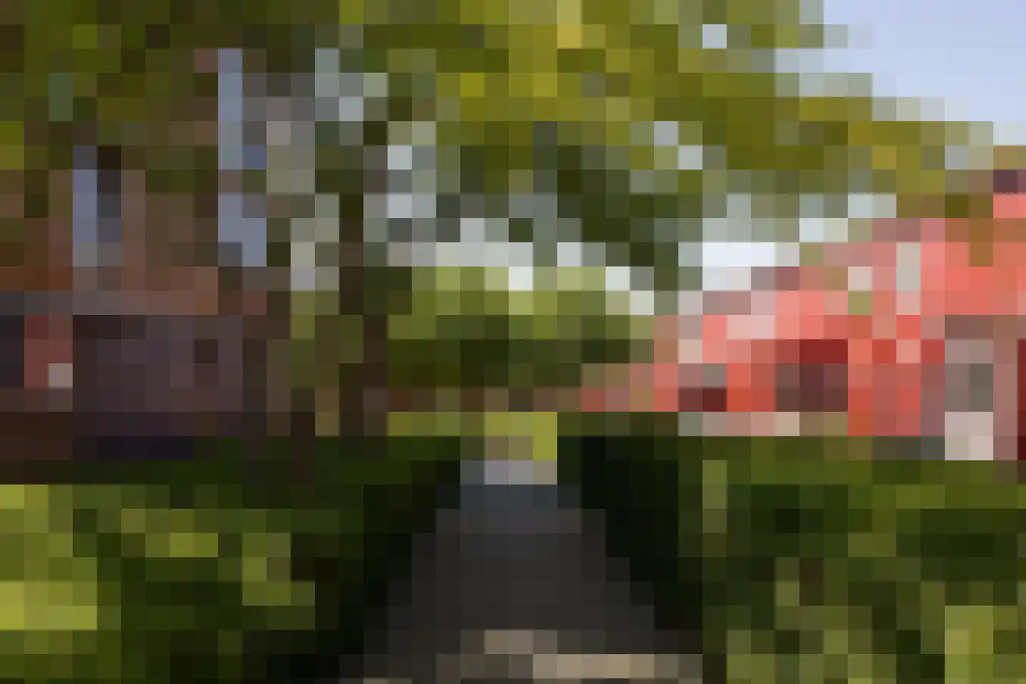 Chatelainestraat 48 Almere thumbnail 30
