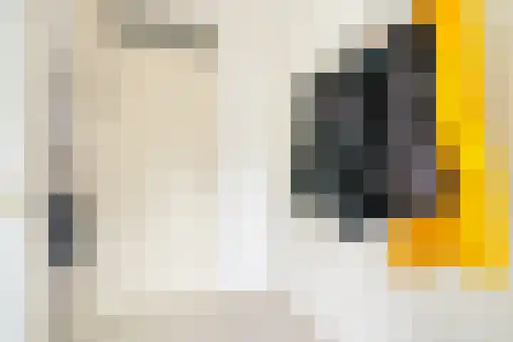 Chatelainestraat 60 Almere thumbnail 21