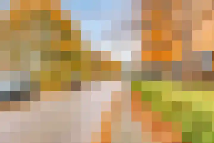 Chatelainestraat 60 Almere thumbnail 47