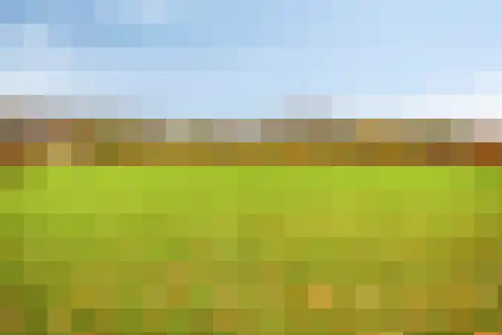 Chatelainestraat 60 Almere thumbnail 50