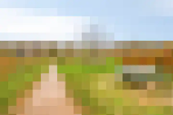 Chatelainestraat 60 Almere thumbnail 51