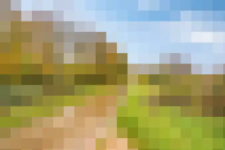 Chatelainestraat 60 Almere thumbnail 53