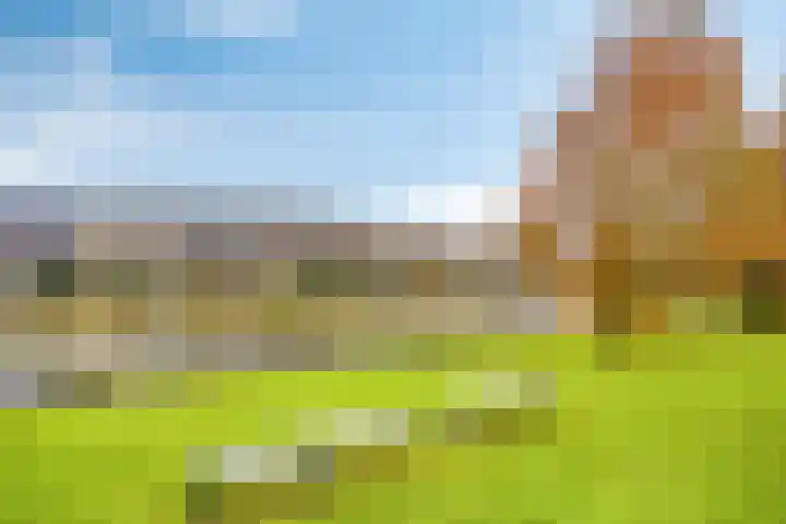 Chatelainestraat 60 Almere thumbnail 54