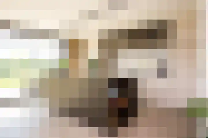 Châteletlaan 41 Vleuten thumbnail 12