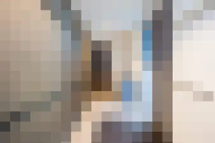 Châteletlaan 41 Vleuten thumbnail 15