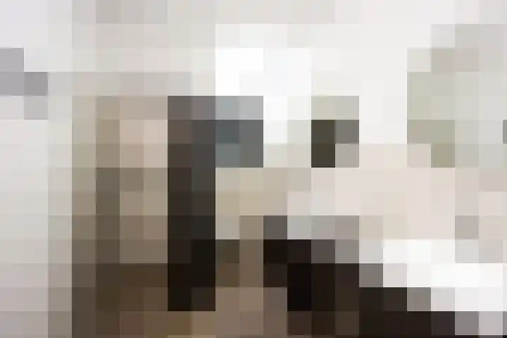 Châteletlaan 41 Vleuten thumbnail 24