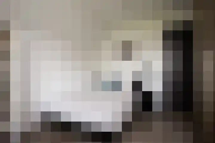 Châteletlaan 41 Vleuten thumbnail 29