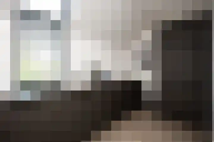 Châteletlaan 41 Vleuten thumbnail 33