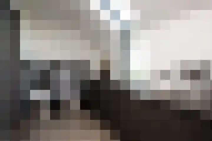 Châteletlaan 41 Vleuten thumbnail 34