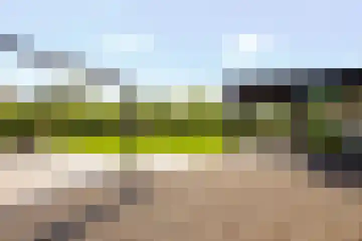 Châteletlaan 41 Vleuten thumbnail 38