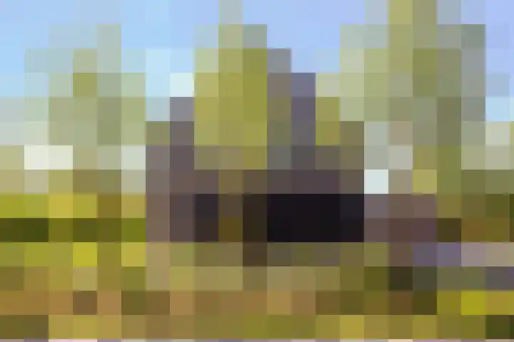 Châteletlaan 41 Vleuten thumbnail 4