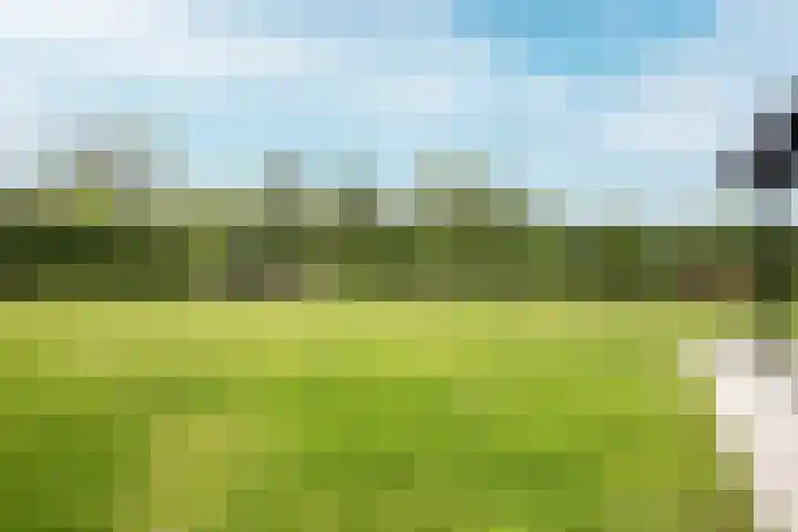 Châteletlaan 41 Vleuten thumbnail 41