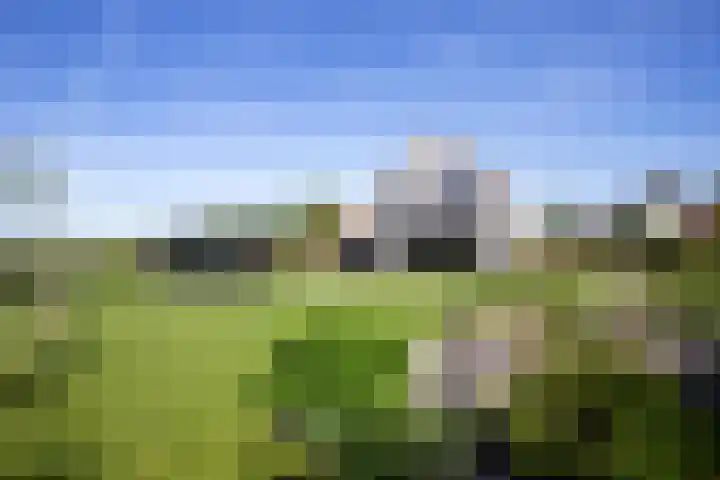 Châteletlaan 41 Vleuten thumbnail 43
