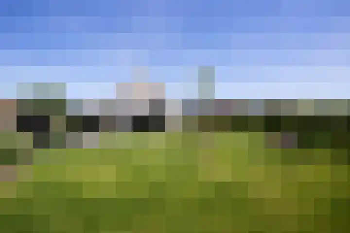 Châteletlaan 41 Vleuten thumbnail 44