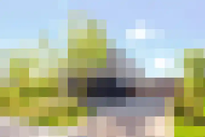 Châteletlaan 41 Vleuten thumbnail 5