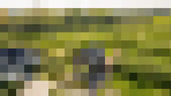 Châteletlaan 41 Vleuten thumbnail 52