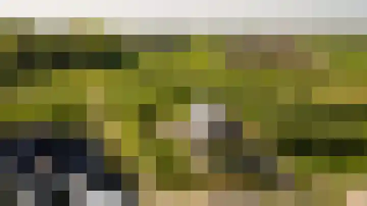 Châteletlaan 41 Vleuten thumbnail 53