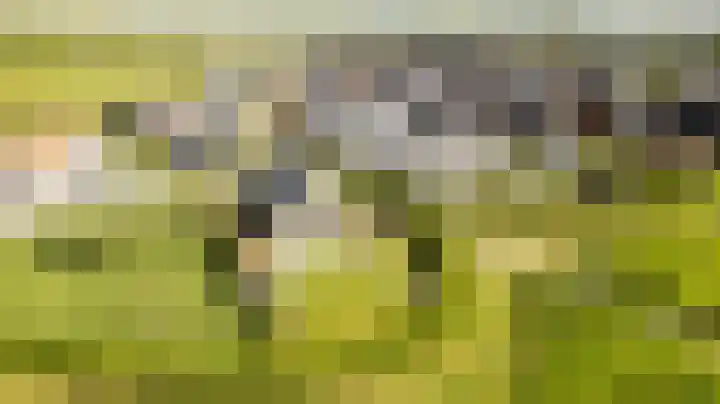 Châteletlaan 41 Vleuten thumbnail 54