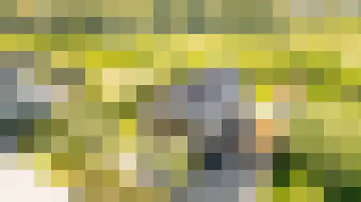 Châteletlaan 41 Vleuten thumbnail 55