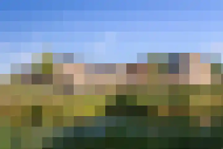 Châteletlaan 41 Vleuten thumbnail 56