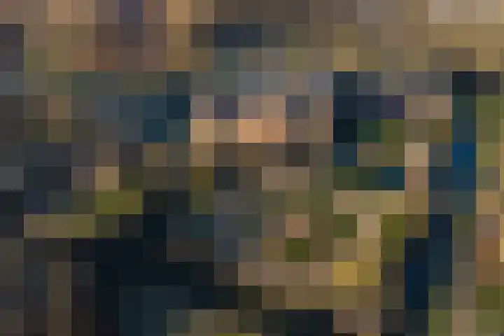 Châteletlaan 41 Vleuten thumbnail 57