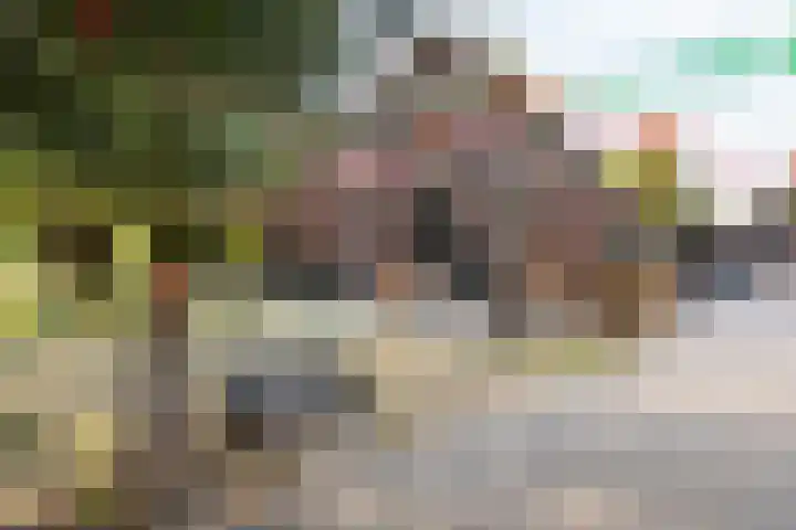Châteletlaan 41 Vleuten thumbnail 58